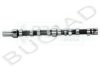 BUGIAD BSP22281 Camshaft